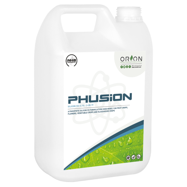 Front of Phusion bottle