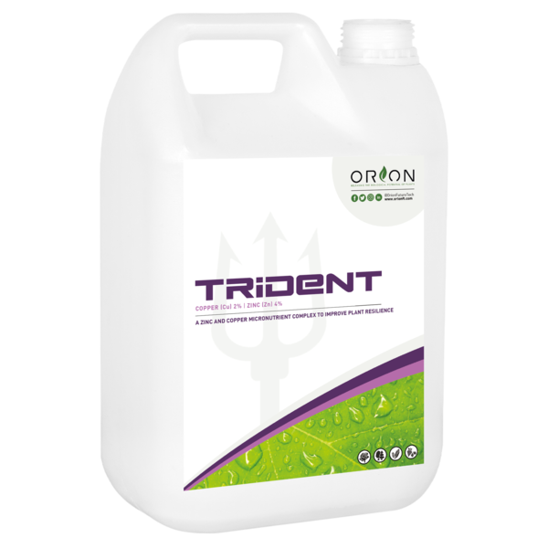 Front of Trident bottle