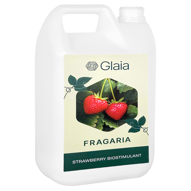 Front of Glaia Fragaria bottle
