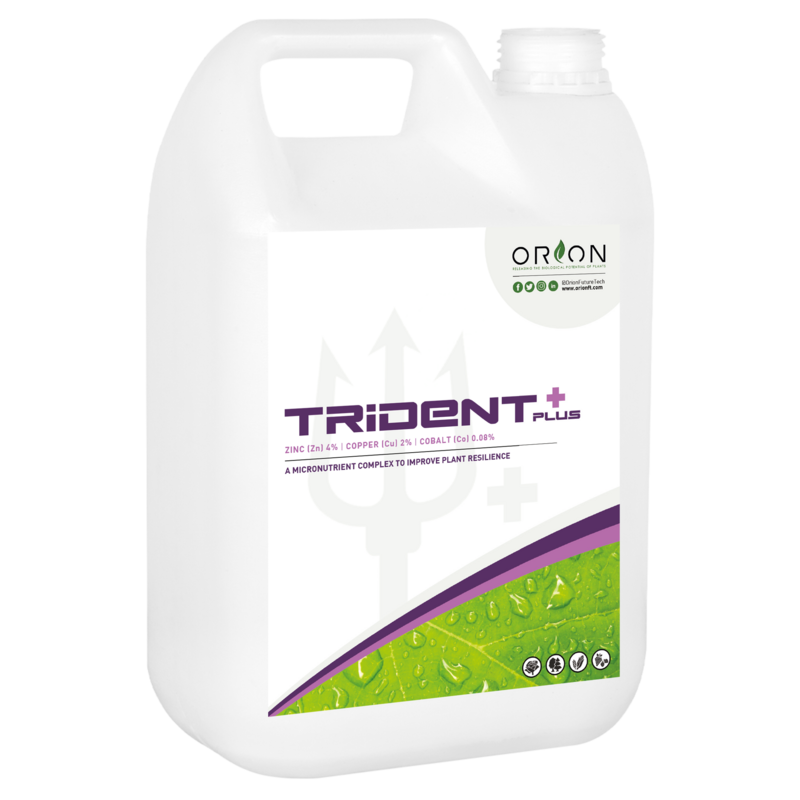 Front of Trident Plus bottle